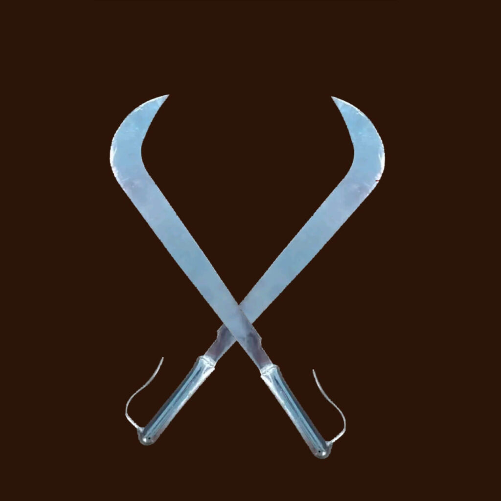 arival-tamilnadu-kalari-payattu-association-kalaripayattu