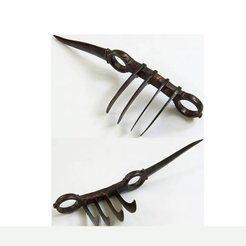 puli-negam-tamilnadu-kalari-payattu-association-kalaripayattu